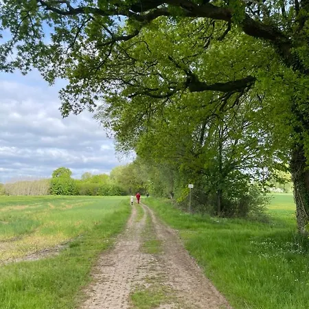 Luxus Lindenhof -ferienwohnungen In Friesland An Der Nordsee Am Naturschutzgebiet Urwald * Neuenburg (Friesland)