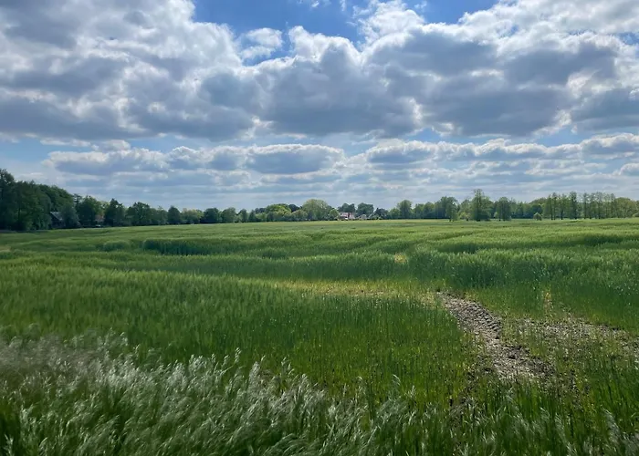 Luxus Lindenhof -ferienwohnungen In Friesland An Der Nordsee Am Naturschutzgebiet Urwald Appartamento