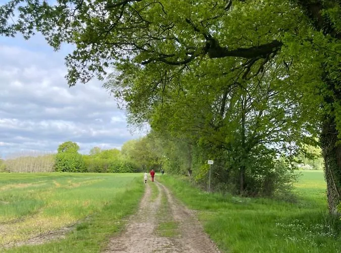 Luxus Lindenhof -ferienwohnungen In Friesland An Der Nordsee Am Naturschutzgebiet Urwald * Neuenburg (Friesland)